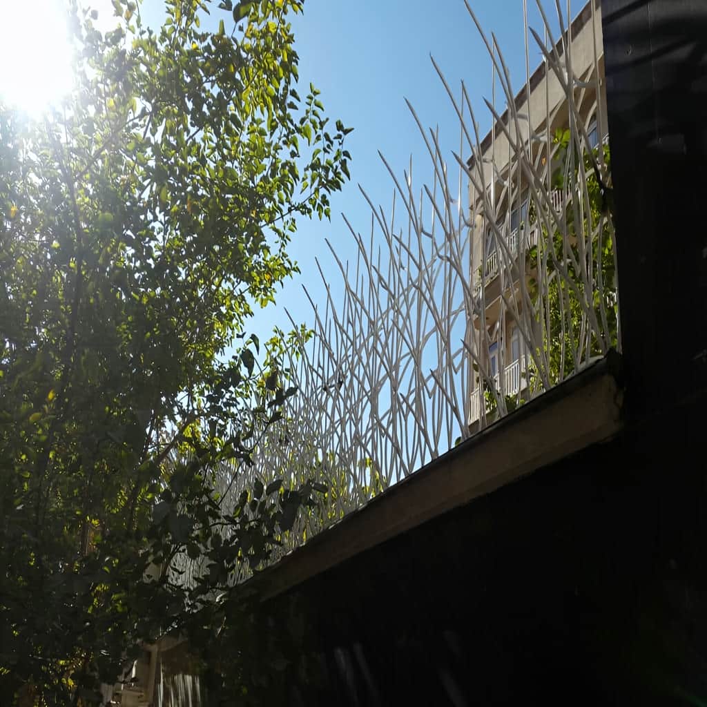 خرید حفاظ نیزار