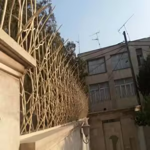 حفاظ نیزار دیواری: امنیت بالا با طراحی طبیعی