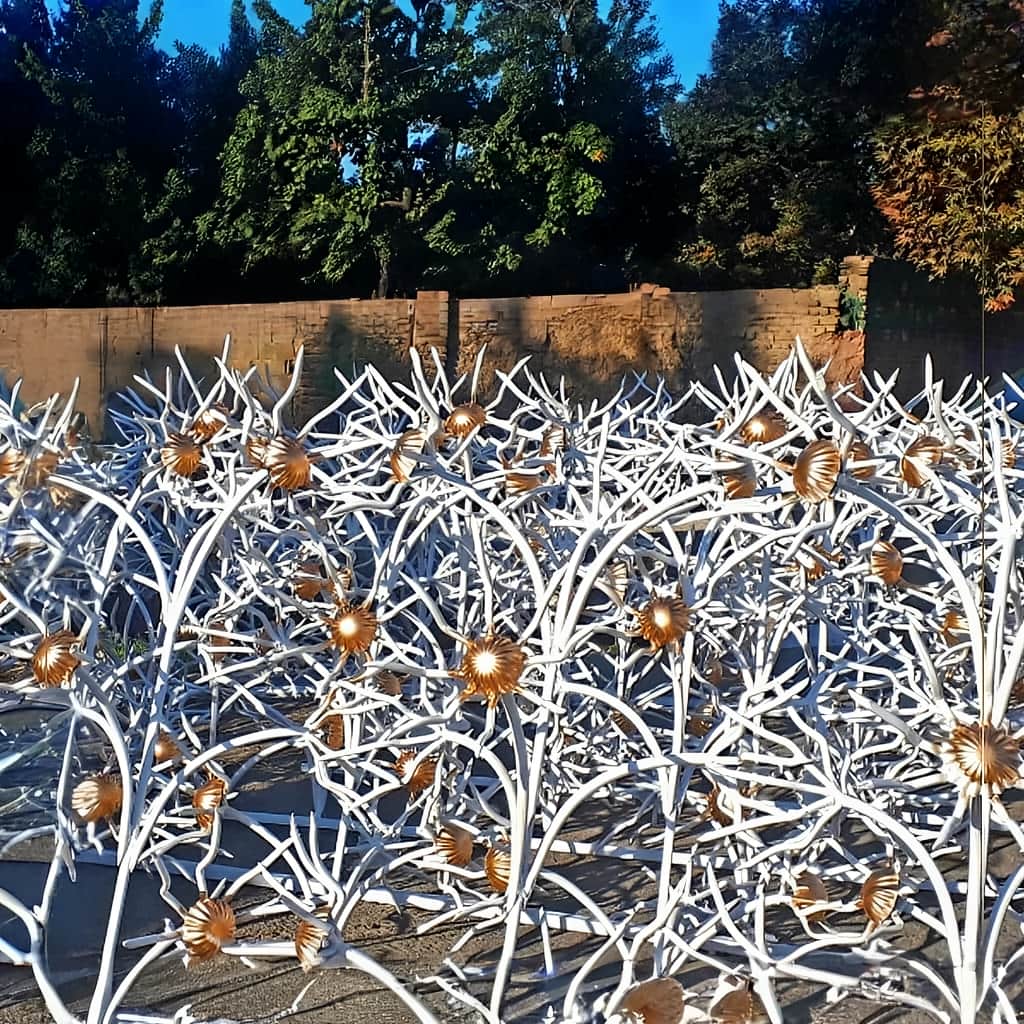 خرید حفاظ گل آفتابگردان دیواری