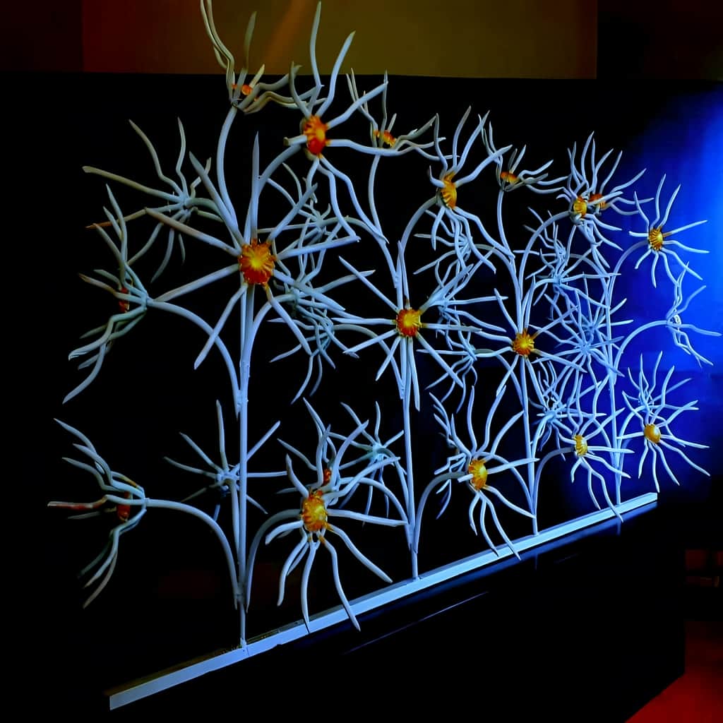 حفاظ گل آفتابگردان دیواری