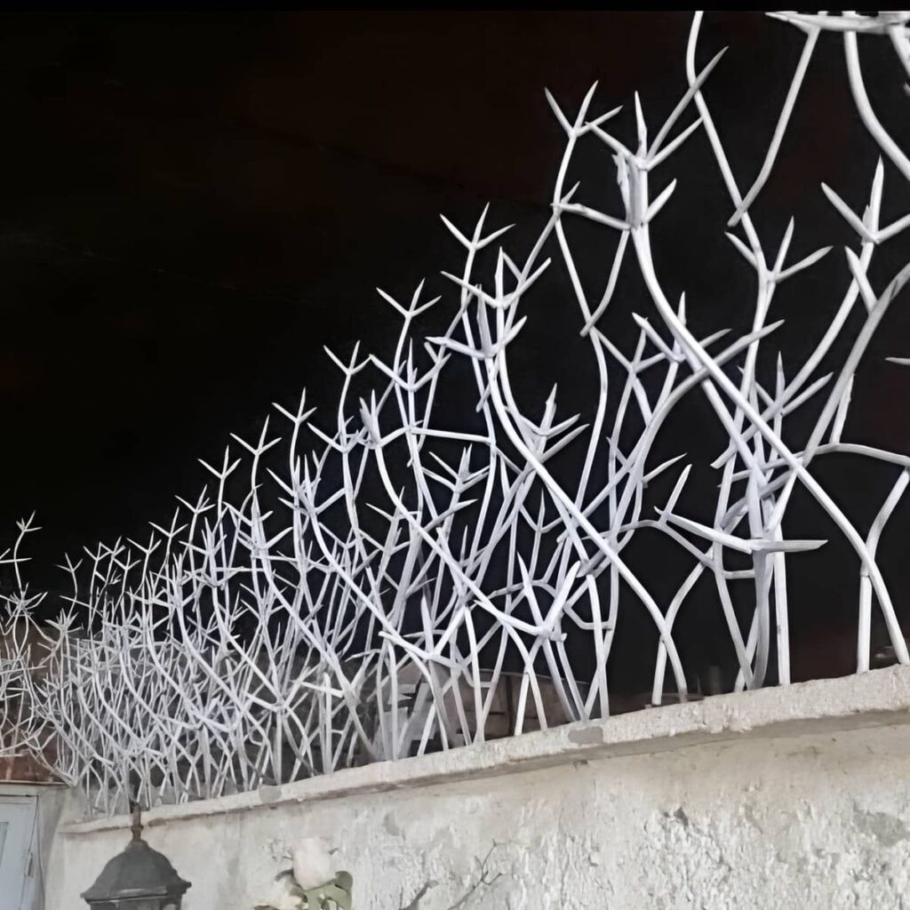 حفاظ شاخ گوزنی در باغ عباس‌آباد