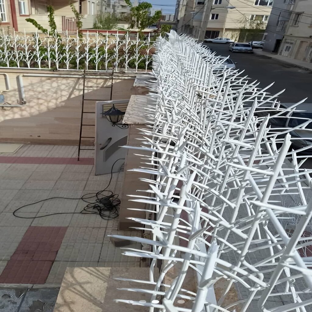 حفاظ شاخ گوزنی در پردیس