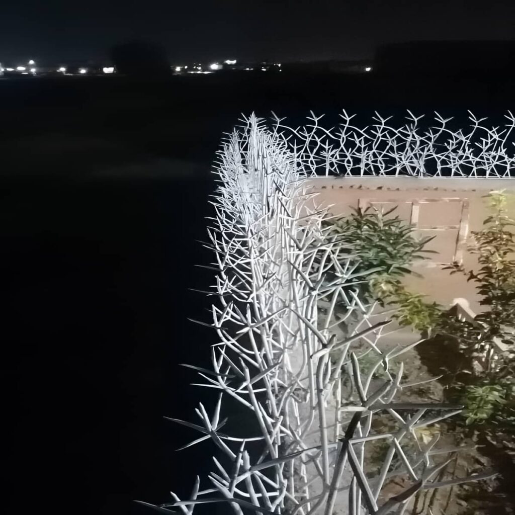 خرید حفاظ شاخ گوزنی طرح شاخه ای در سقز