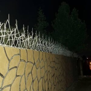 حفاظ شاخ گوزنی در همدان