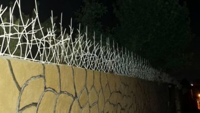 حفاظ شاخ گوزنی در همدان