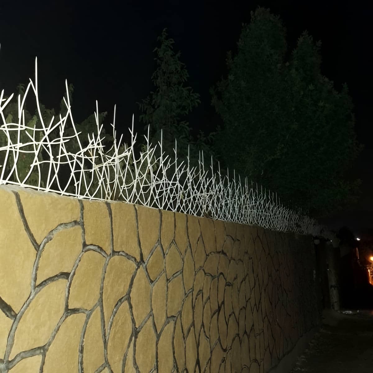 حفاظ شاخ گوزنی در همدان
