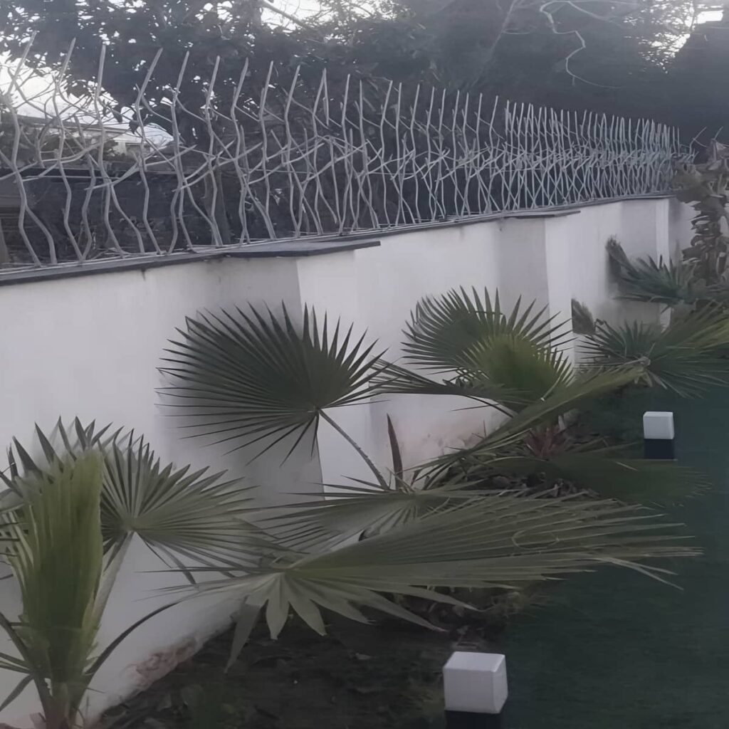 حفاظ شاخ گوزنی در هشتگرد