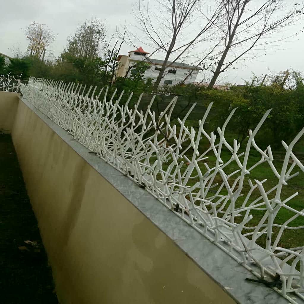 کارخانه حفاظ شاخ گوزنی ارتفاع متنوع در فیروزکوه