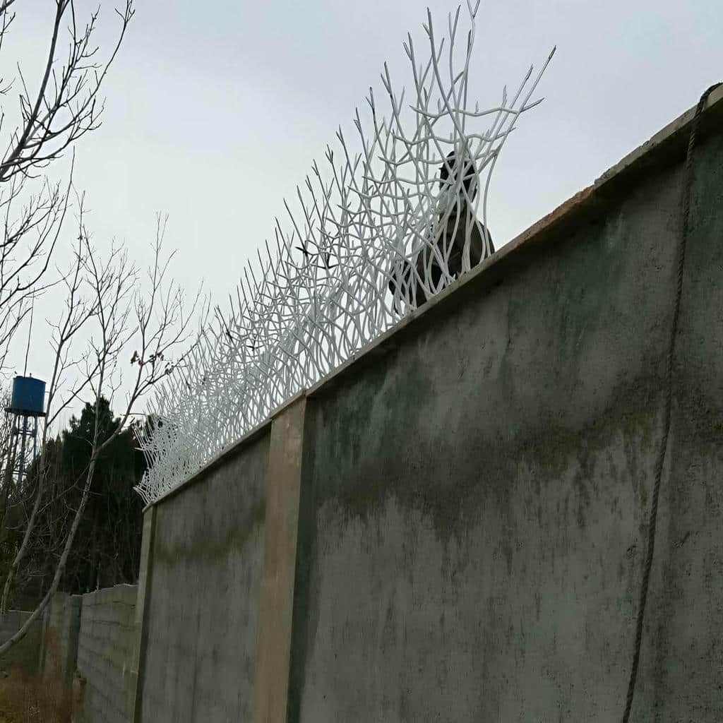 قیمت حفاظ شاخ گوزنی باغی در کردان