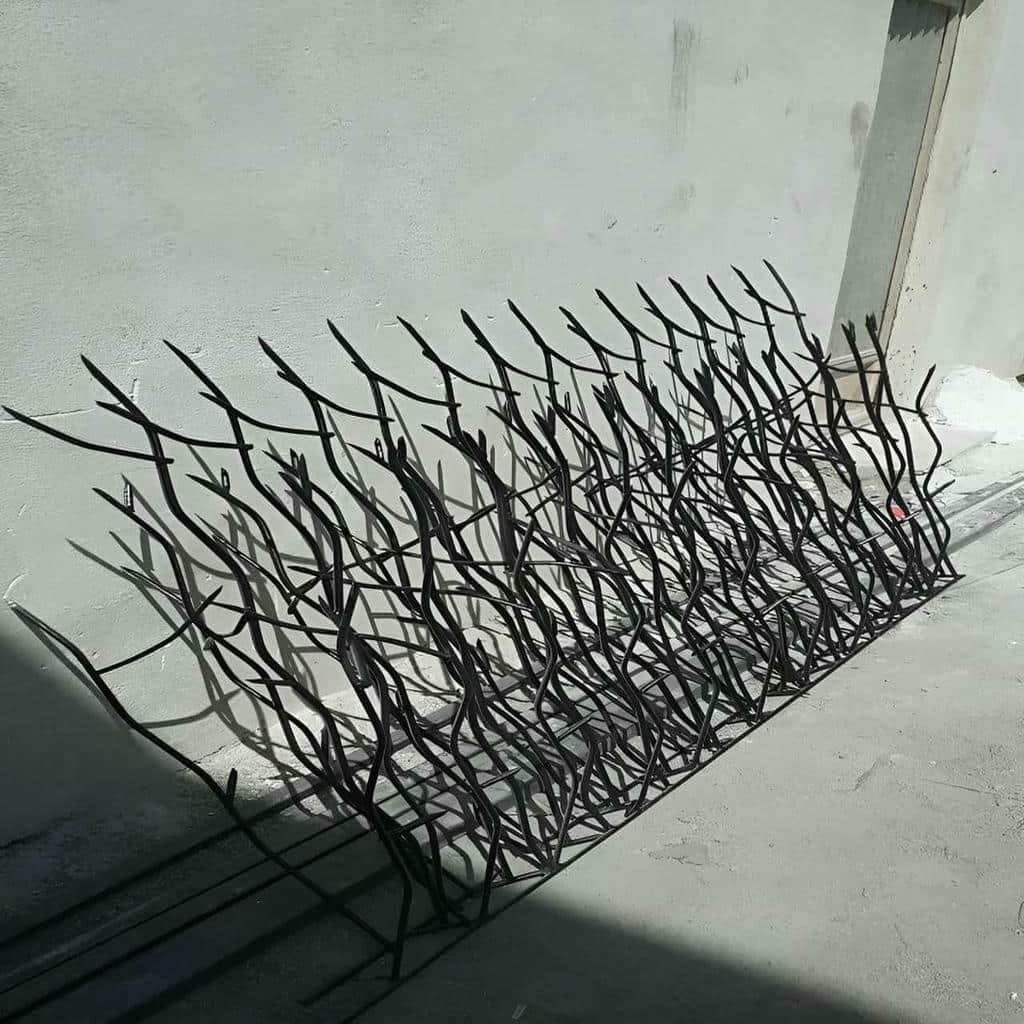 حفاظ شاخ گوزنی در دماوند