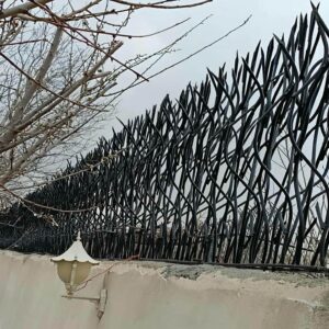 حفاظ شاخ گوزنی در قائمشهر