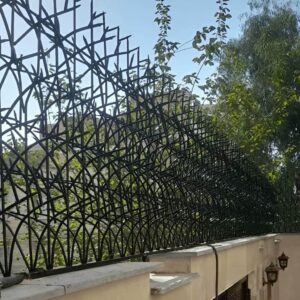 حفاظ شاخ گوزنی در رشت