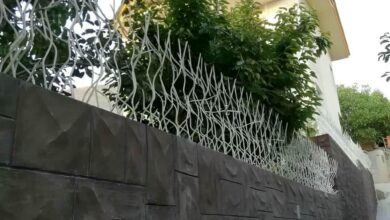 حفاظ شاخ گوزنی در اشتهارد