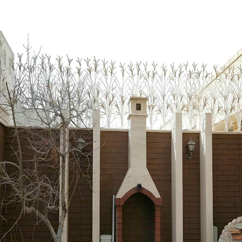 حفاظ شاخ گوزنی در گنبدکاووس