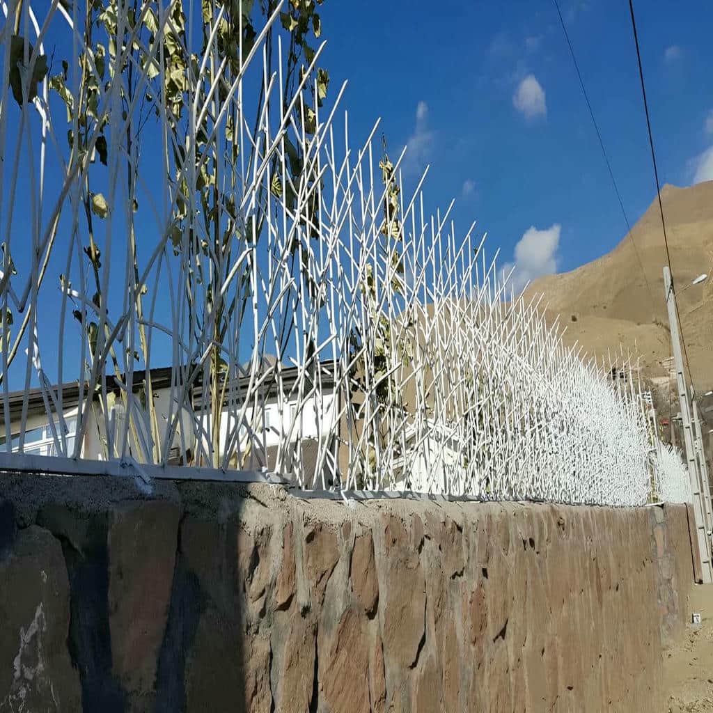 قیمت حفاظ شاخ گوزنی دیوار حیاط در کاشان