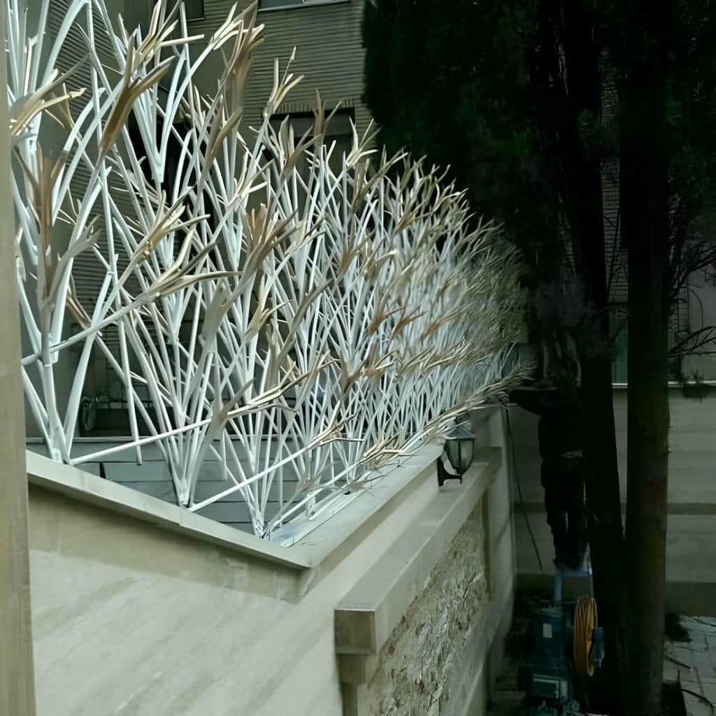 حفاظ شاخ گوزنی در کرمان