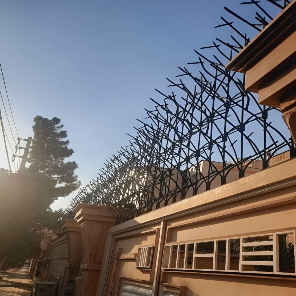 حفاظ شاخ گوزنی در کمال شهر