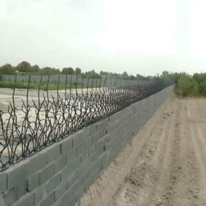 حفاظ شاخ گوزنی در ساوه