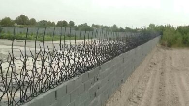حفاظ شاخ گوزنی در ساوه