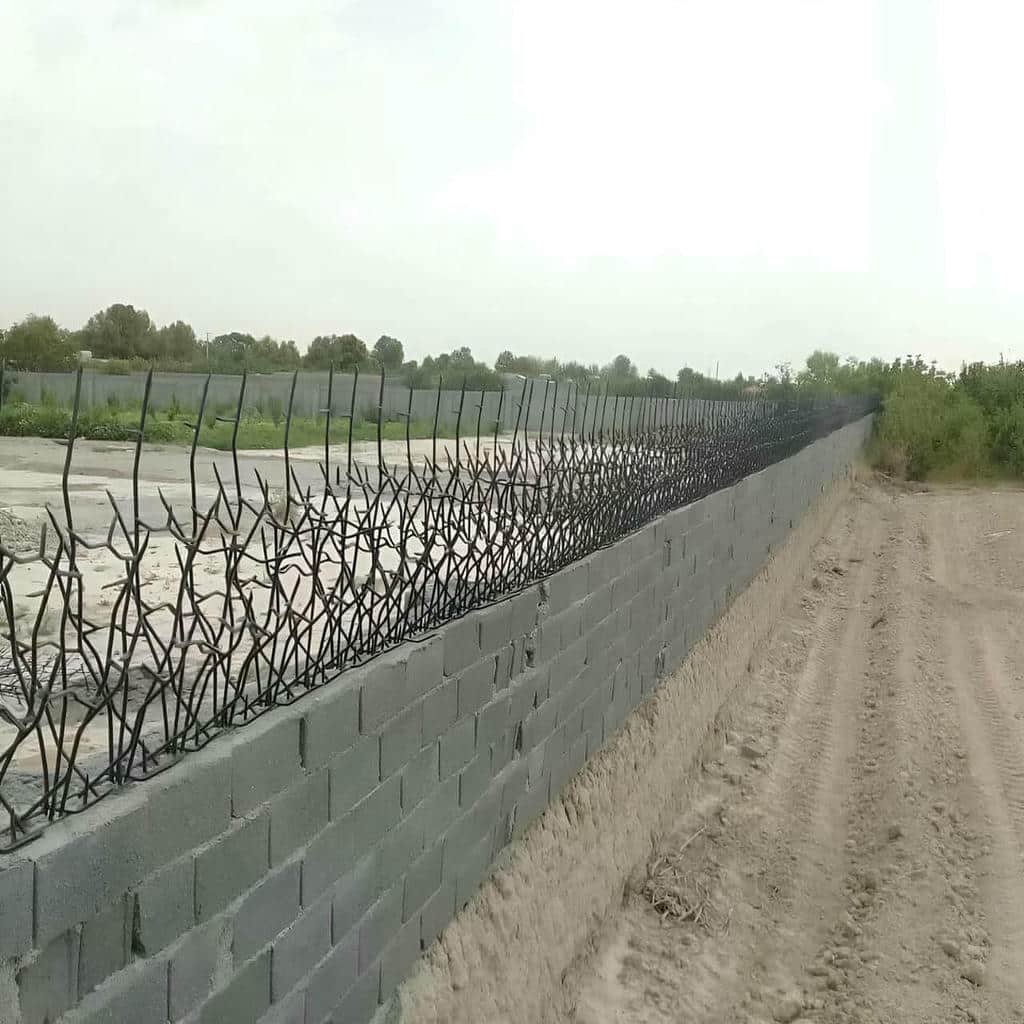 حفاظ شاخ گوزنی در ساوه