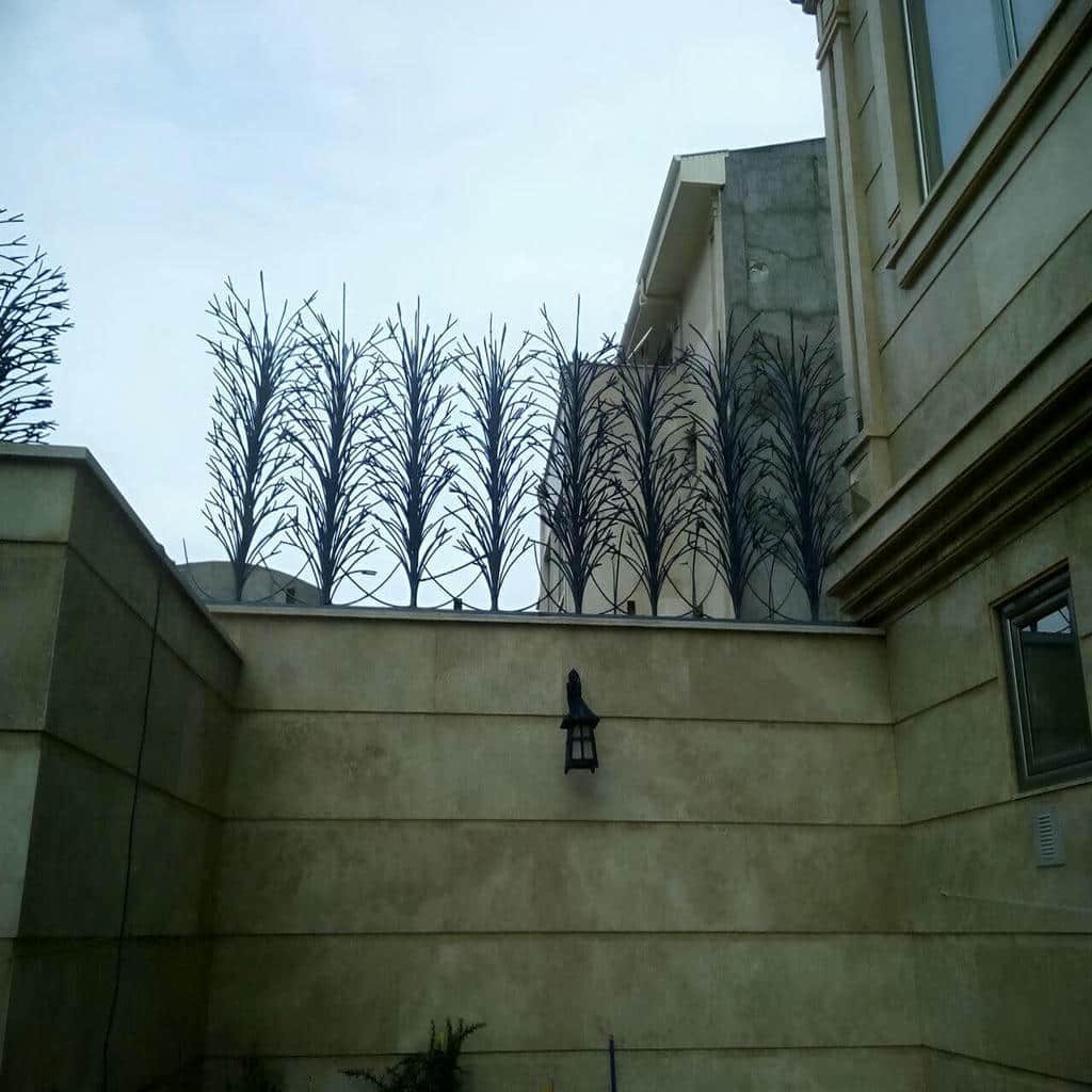 حفاظ شاخ گوزنی در استان مازندران