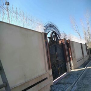 حفاظ شاخ گوزنی در کیش