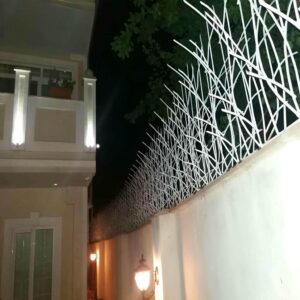 حفاظ شاخ گوزنی در بندر چابهار