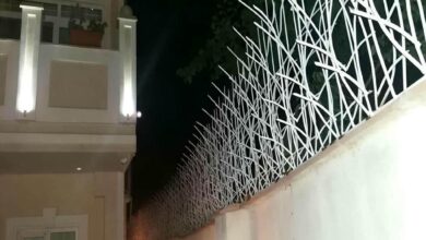 حفاظ شاخ گوزنی در بندر چابهار