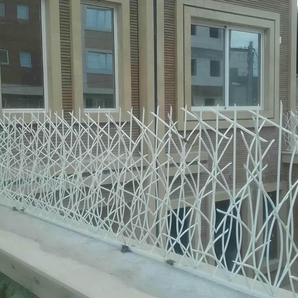 قیمت حفاظ شاخ گوزنی شاخه متراکم در گنبدکاووس