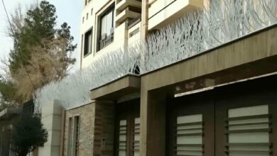 حفاظ شاخ گوزنی در بومهن