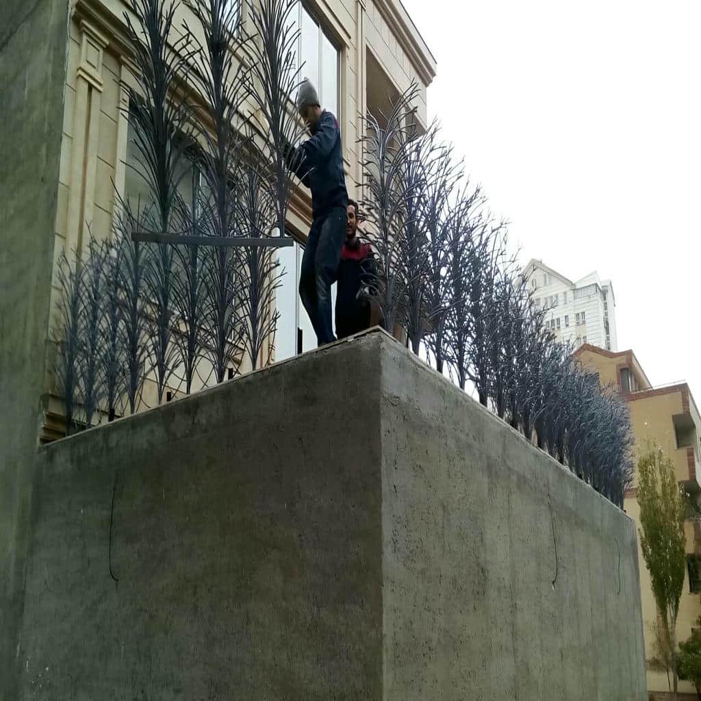 نصب حفاظ شاخ گوزنی ضخامت شاخه در نسیم شهر