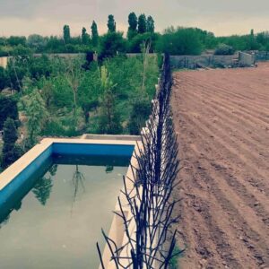 حفاظ شاخ گوزنی در شهرکرد