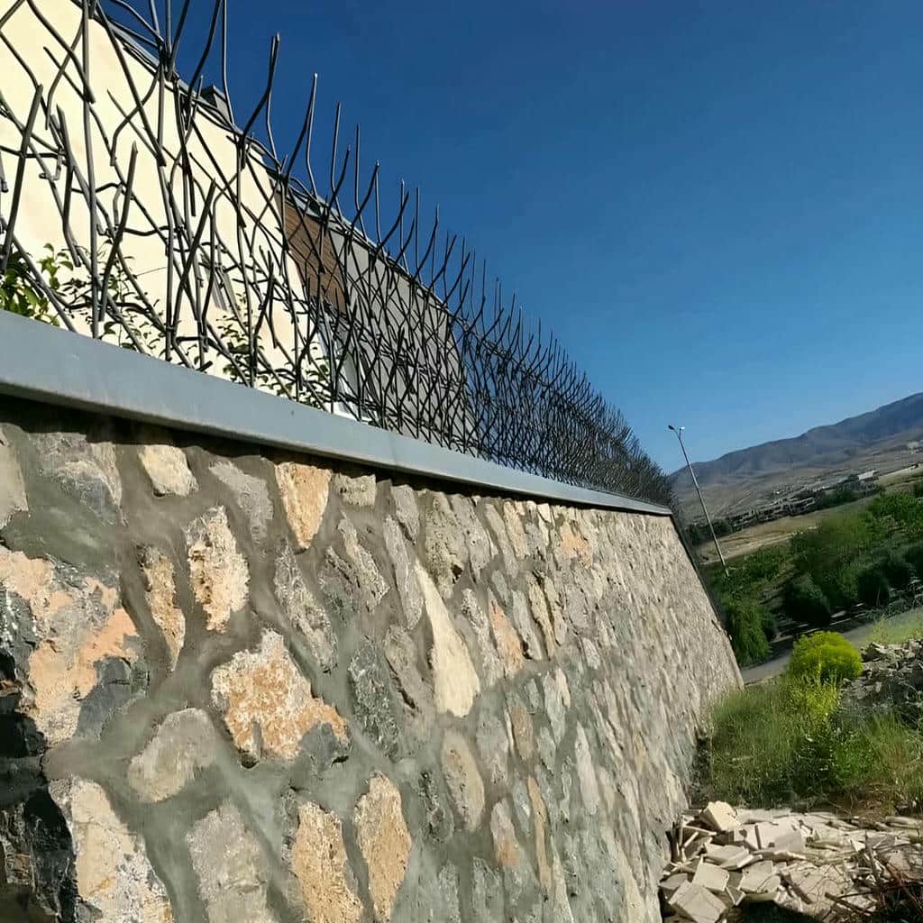 حفاظ شاخ گوزنی در نسیم شهر