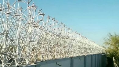 حفاظ شاخ گوزنی در اردبیل