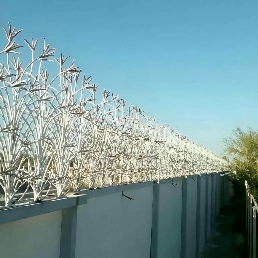 حفاظ شاخ گوزنی در اردبیل