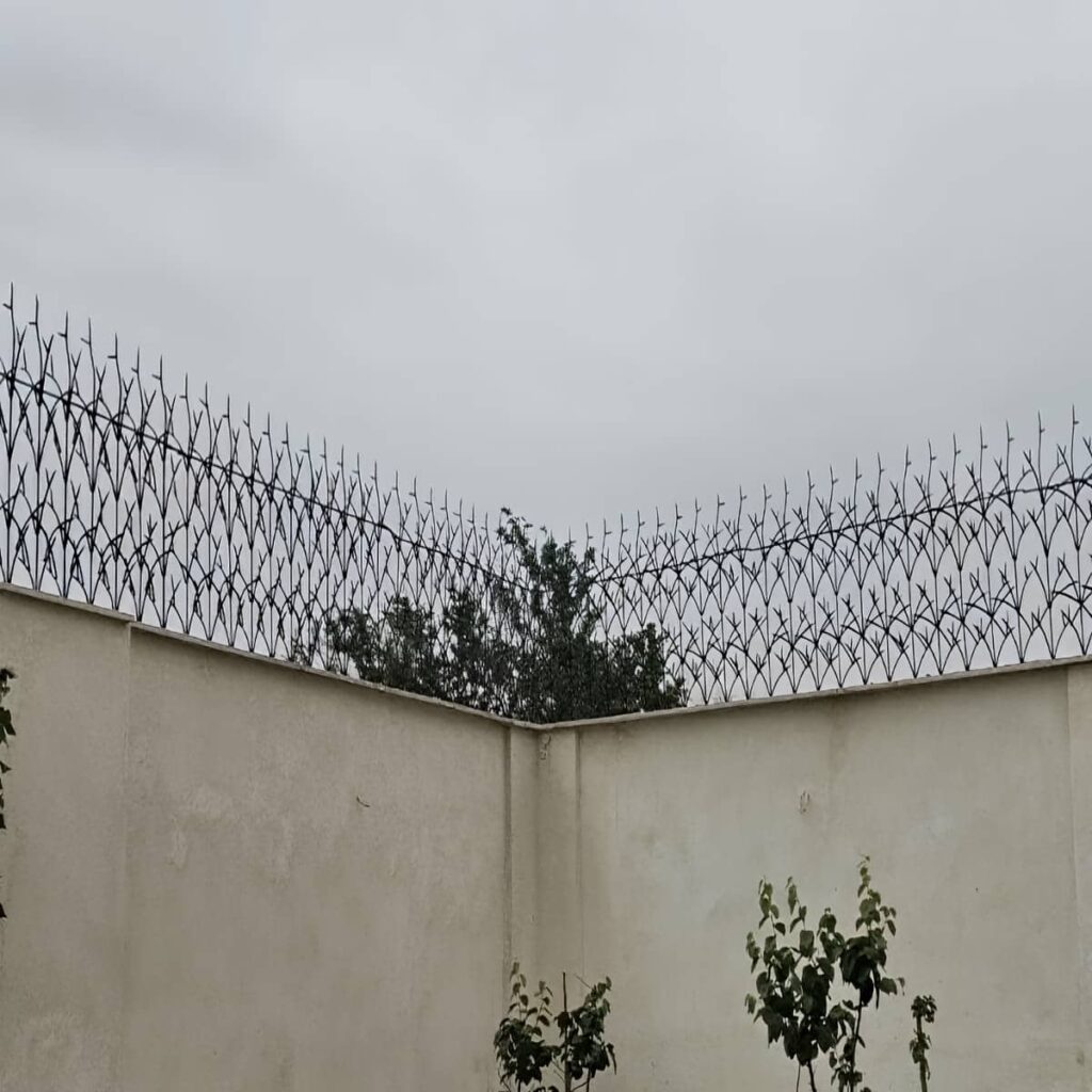 قیمت حفاظ شاخ گوزنی دیوار حیاط در بابل