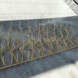 حفاظ شاخ گوزنی در اندیشه