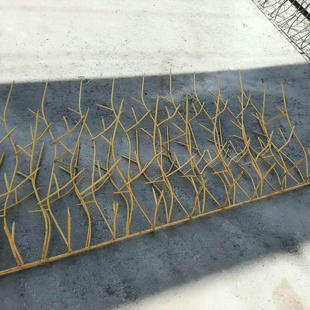 حفاظ شاخ گوزنی در اندیشه