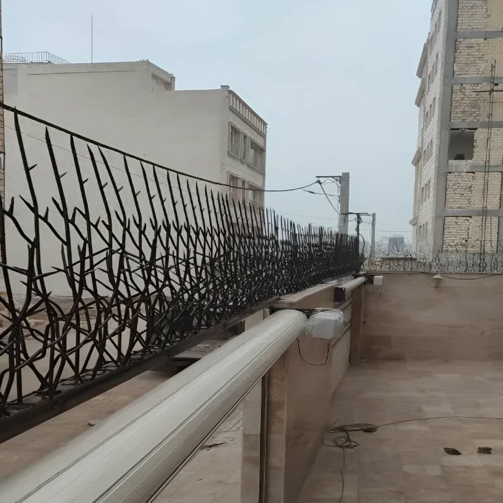 قیمت حفاظ شاخ گوزنی دیوار ویلا در ایلام