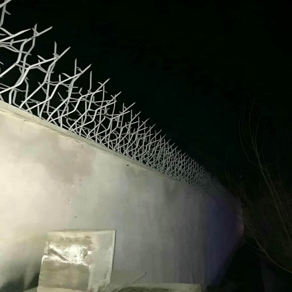 قیمت حفاظ شاخ گوزنی خطوط مدرن در طالقان