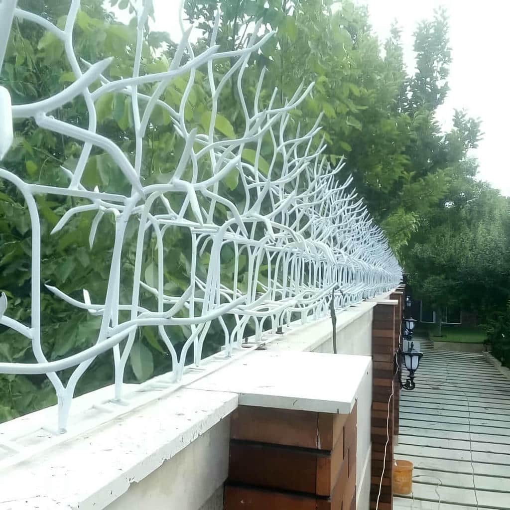 حفاظ شاخ گوزنی در فردیس کرج