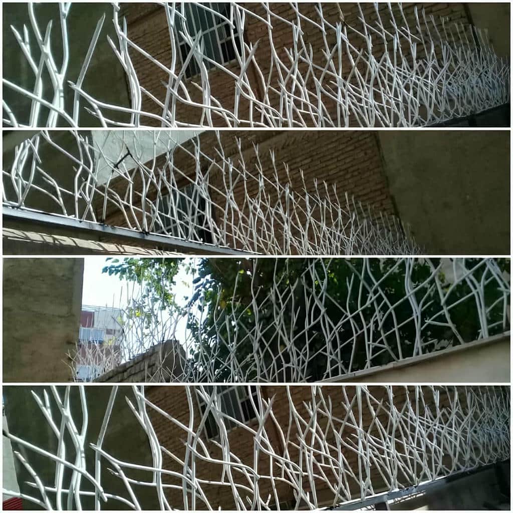 خرید حفاظ شاخ گوزنی