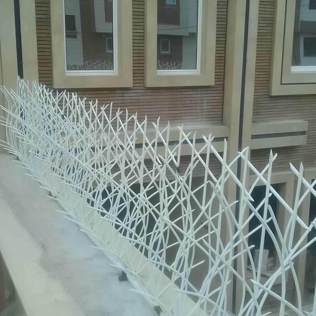 قیمت حفاظ شاخ گوزنی دیوار ویلا در محمودآباد