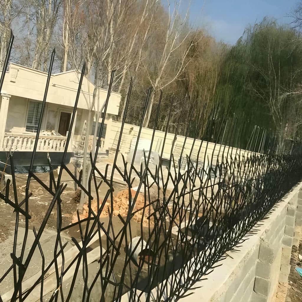 حفاظ شاخ گوزنی در اراک
