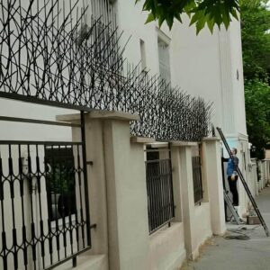 حفاظ شاخ گوزنی در رفسنجان