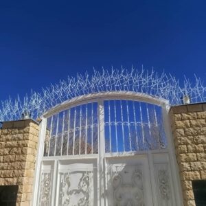 حفاظ شاخ گوزنی در شهریار
