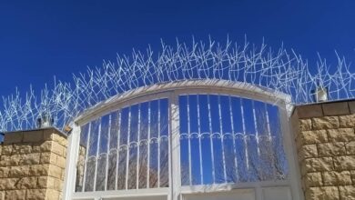 حفاظ شاخ گوزنی در شهریار