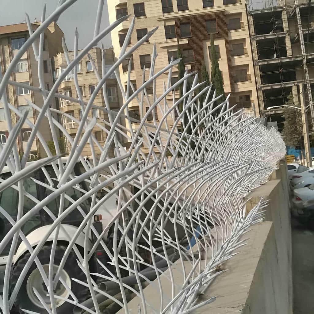 خرید حفاظ شاخ گوزنی طرح پرتراکم در باغ عباس‌آباد