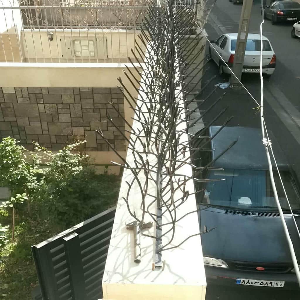 قیمت حفاظ شاخ گوزنی دیوار حیاط در سقز