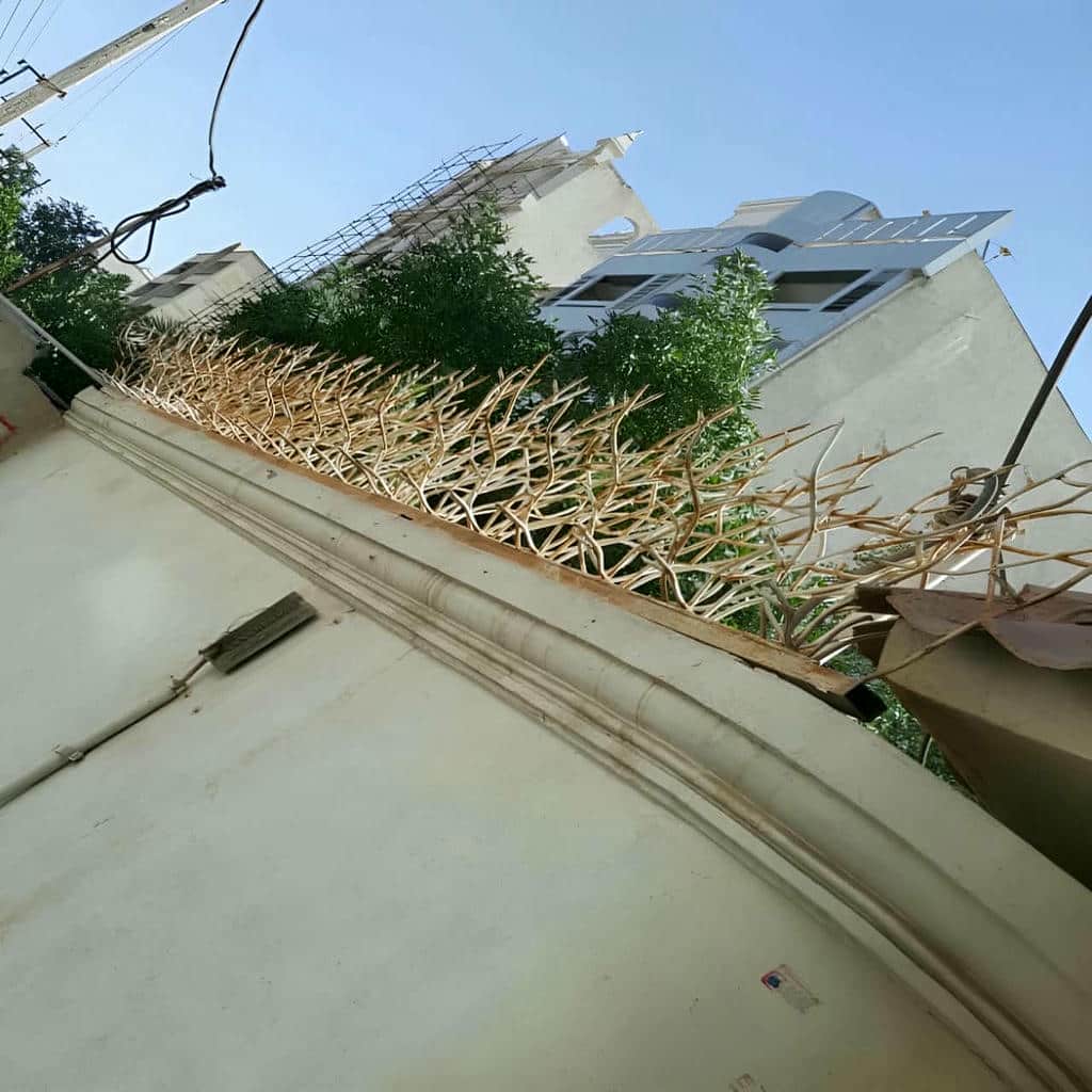 نصب حفاظ شاخ گوزنی رنگ مقاوم در ایرانشهر